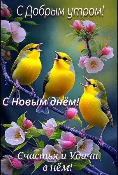 file_93061671