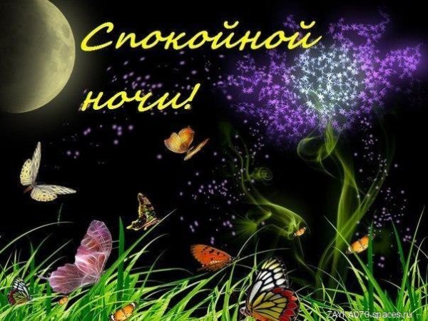 спокойной ночи