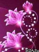 Abstract flowers