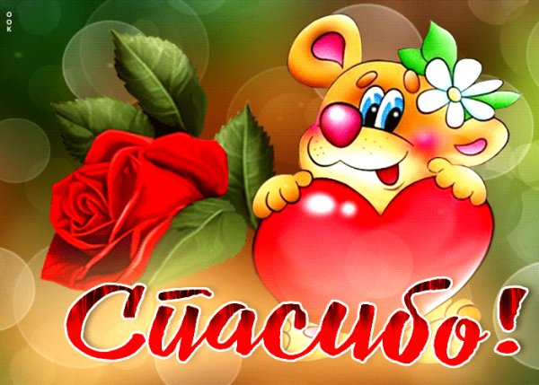 Спасибо!