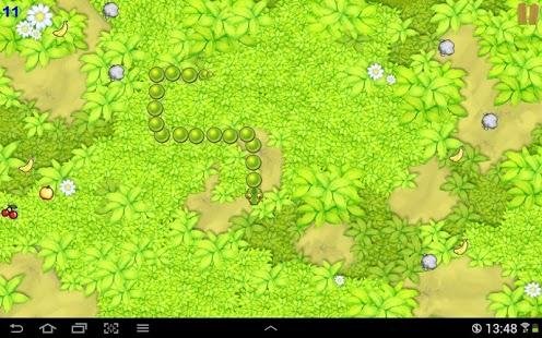 Fruit snake v.1.0.12