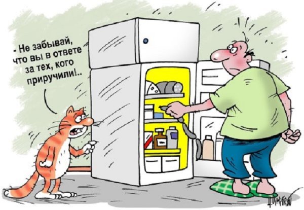 У холодильника