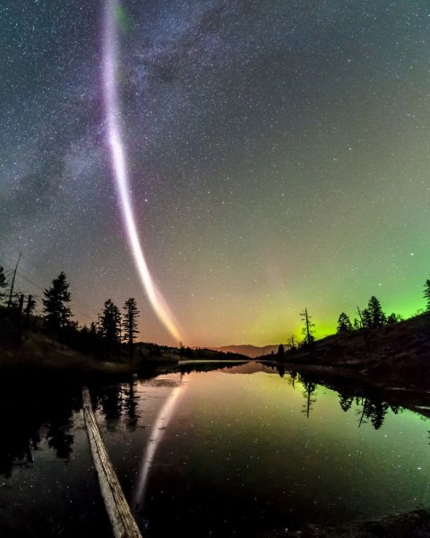 file_96183216