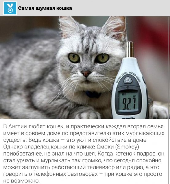 Книга рекордов 2.8