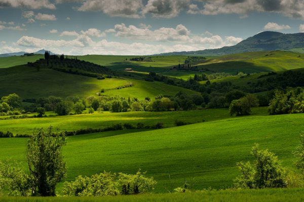 italiya-tuscany-toskana-polya