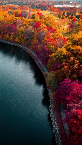 Autumn-lake-1080x1920-1-768x1365