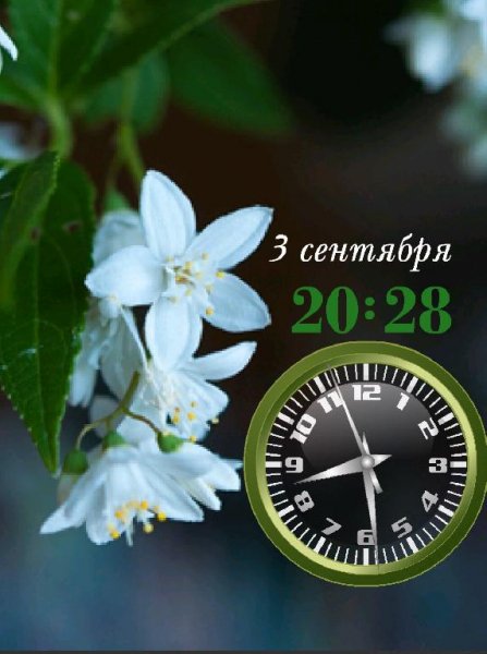 Цветы