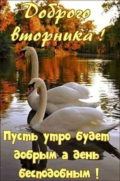 file_92030560