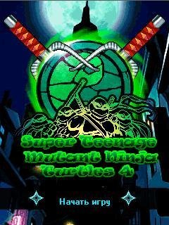 Super Teenage Mutant Ninja Turtles 4