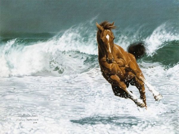 getImage016