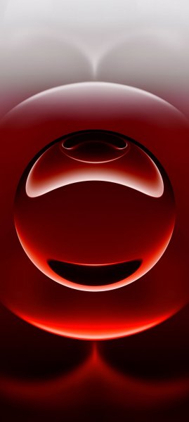 adapted 1080x2408 1788626906