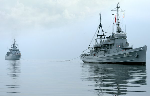 IMG TCG Gazal viter59