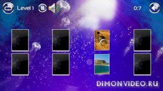 memory cards.sis