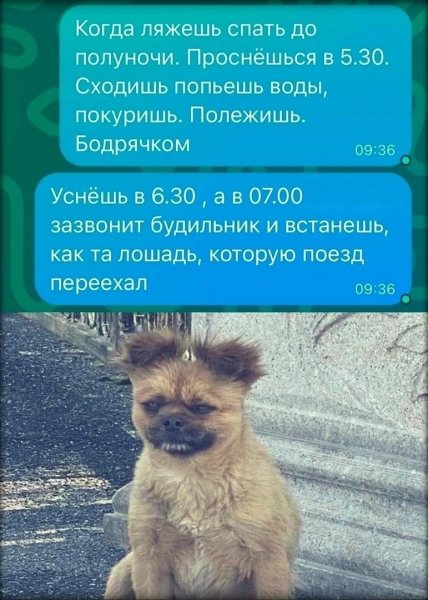 Sz5CDNxqncE-