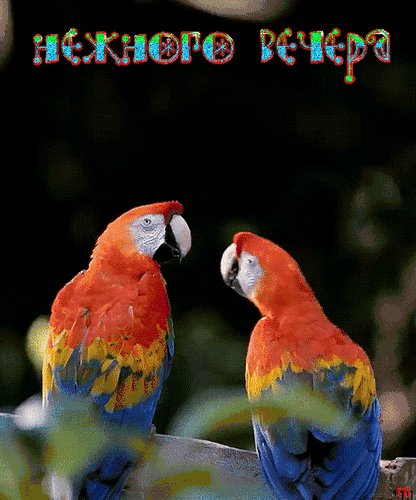 file_79866591