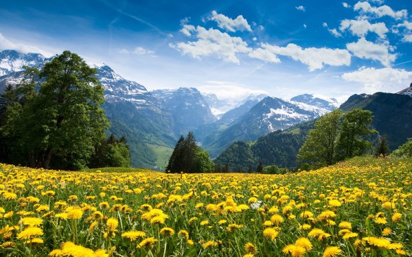 Amazing Nature (23)
