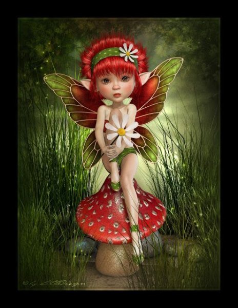 Mushroom Fairy