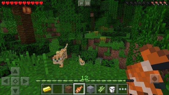 minecraft-pe-1.1.5
