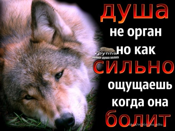 Душа