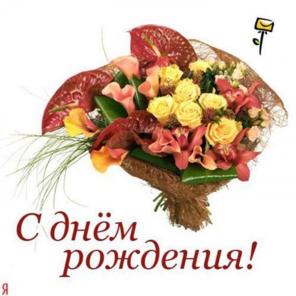 file_81236458