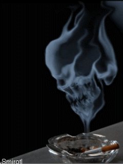 file_7275368