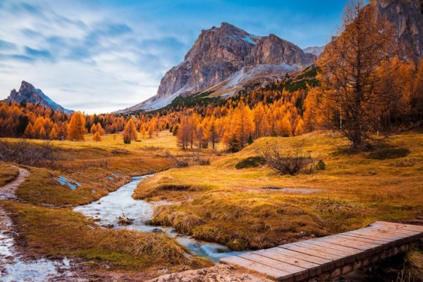Trees-field-by-mountains-against-sky-autumn 1048944-15439013