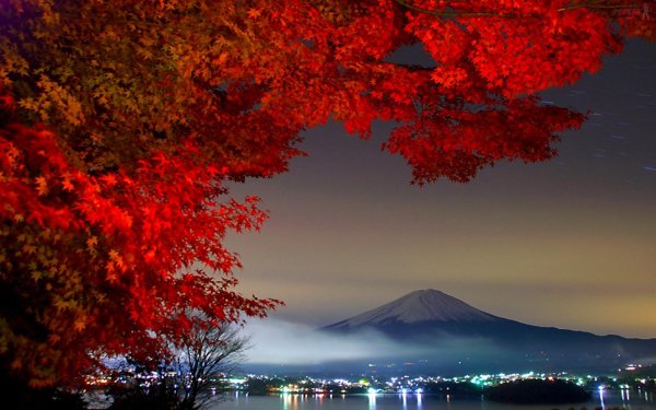 hq-wallpapers ru nature 48075 1920x1200
