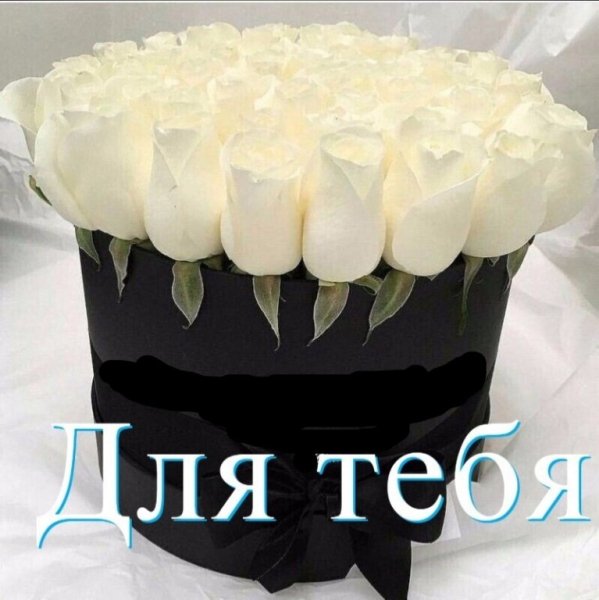 IMG 20200422 092923