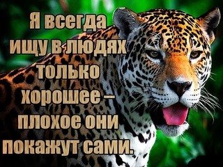 Только хорошее