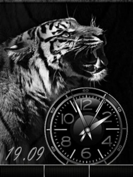 Тигр... (DX)