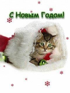 Скоро! Не могу дождаться!