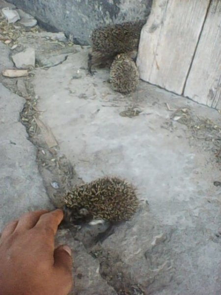 Photo0287