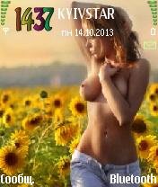 sg 893516