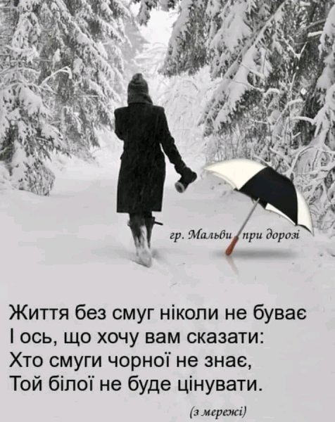 file_95554708