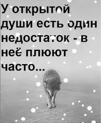 Недостаток