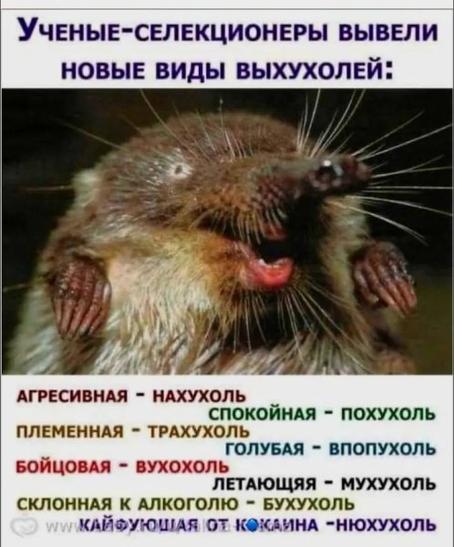 Screenshot 20251013-120827
