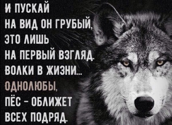 Хорошо сказано