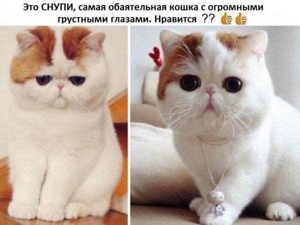file_90220779