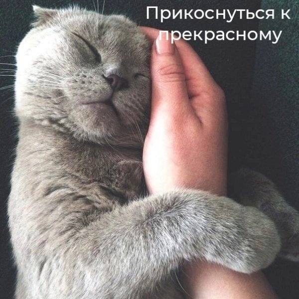 file_92560799