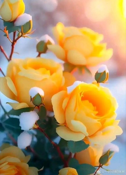 file_95827590