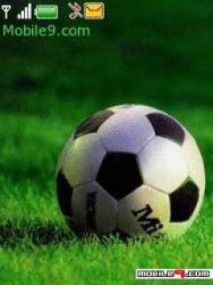 goal rr7vys3b