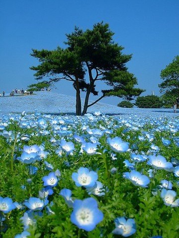 Природа 7