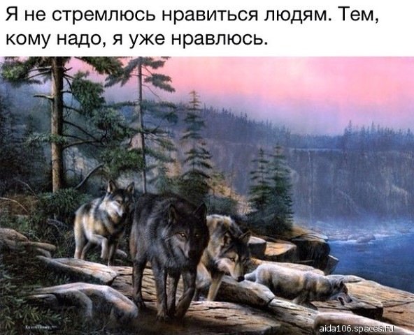 XNvFoECis0L3. 000 -1