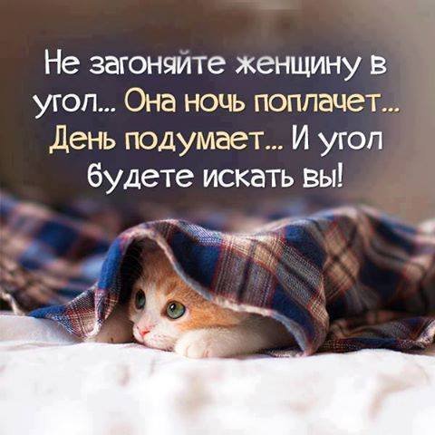 file_102467739