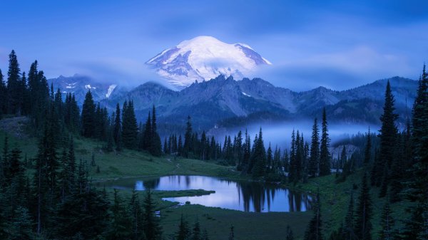 file_96735913
