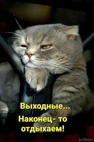file_90220825
