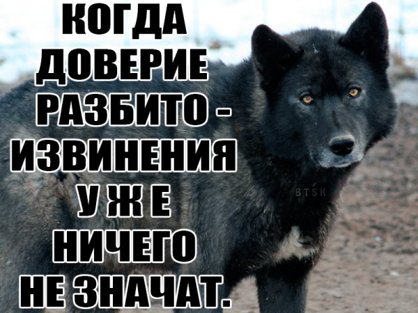 Доверие разбито