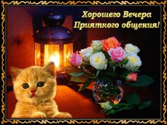 Хорошего вечера, приятного общения