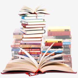 ICE Book Reader Professional 9.3.1