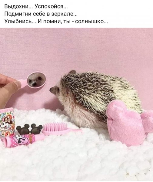 Выдохни
